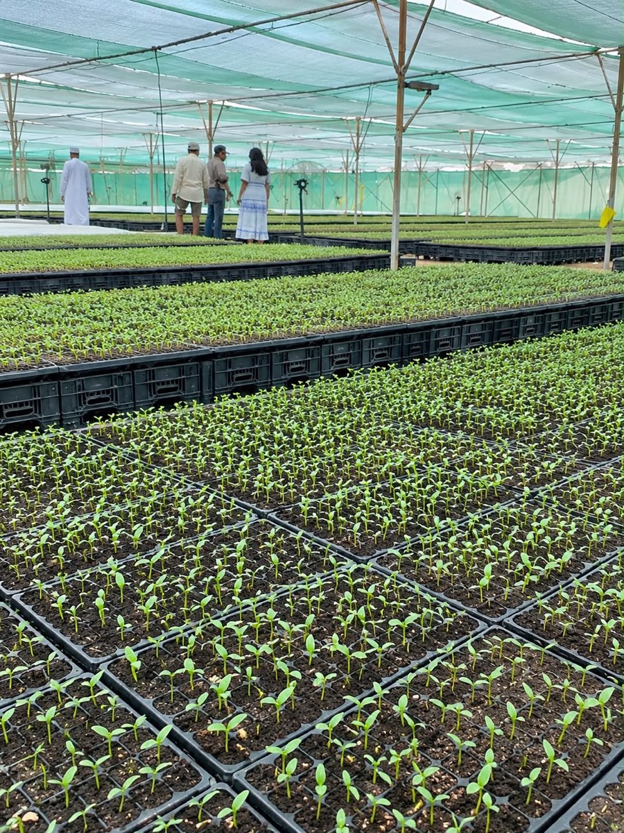 Propagation trays running the length of the house