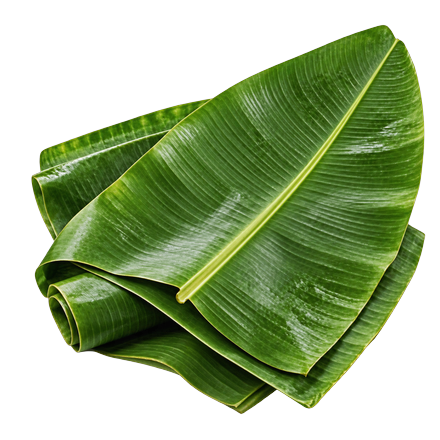 Banana Leaves
