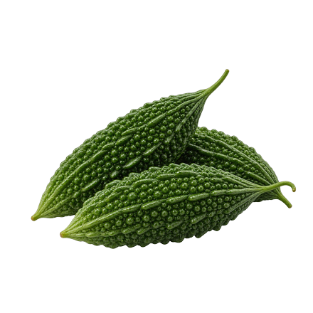 Bitter Gourd