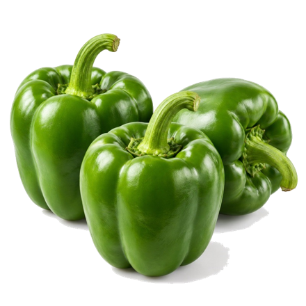 Capsicum