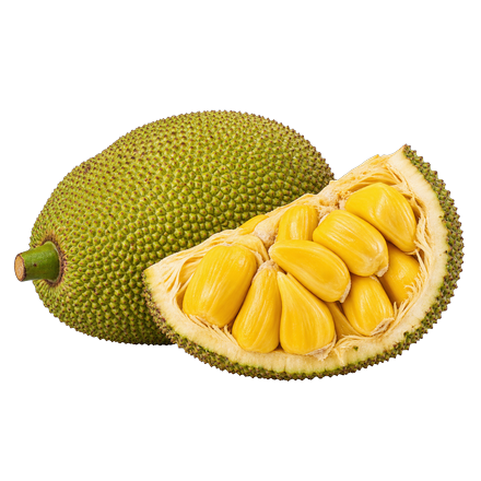 Jackfruit