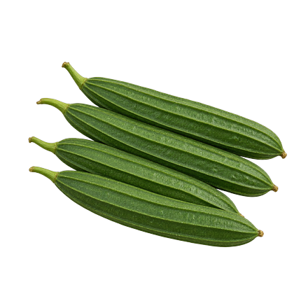 Ridge Gourd